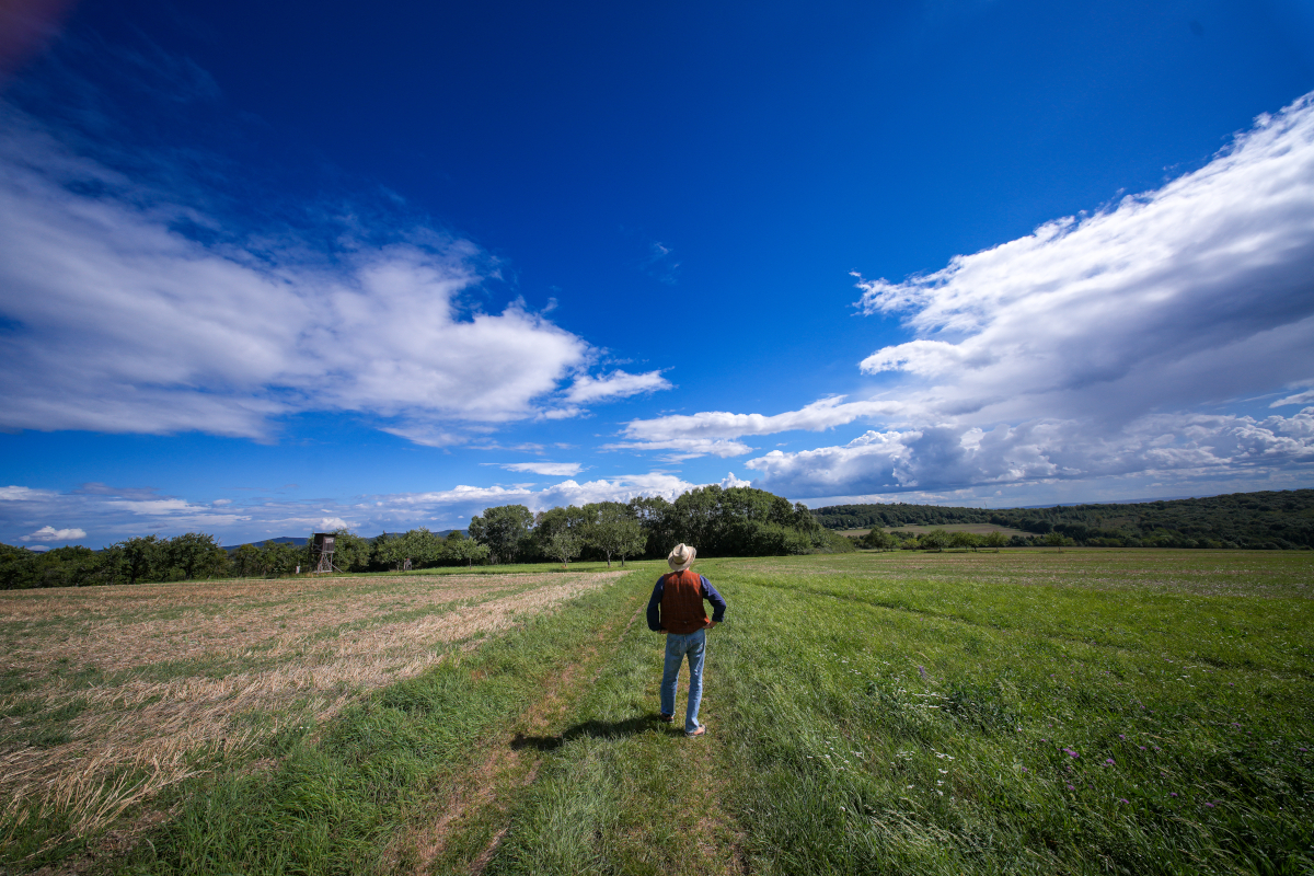 Jean Sebastien Larro - Der Weg zur Natur