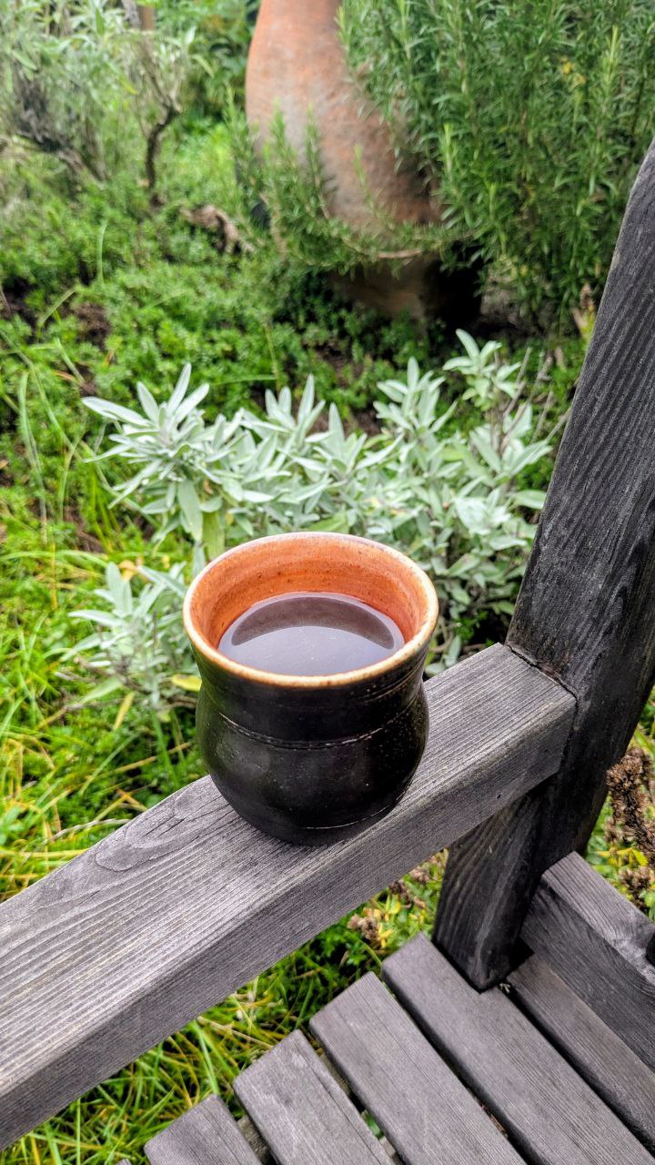 Kaffeetasse im Garten mit Kräutern